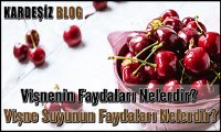 Vişnenin Faydaları Nelerdir