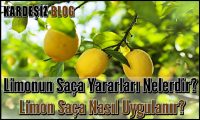 Limonun Saça Yararları Nelerdir