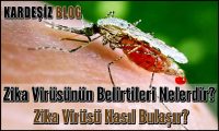 Zika Virüsünün Belirtileri Nelerdir