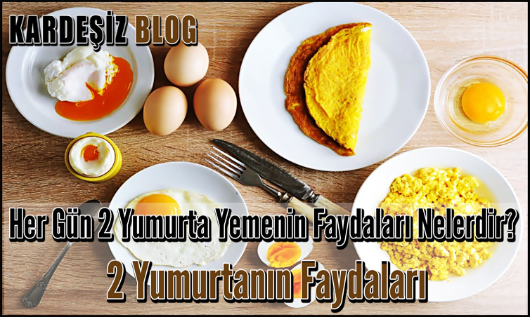 Her Gün 2 Yumurta Yemenin Faydaları Nelerdir