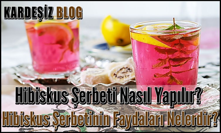 Hibiskus Şerbeti Nasıl Yapılır