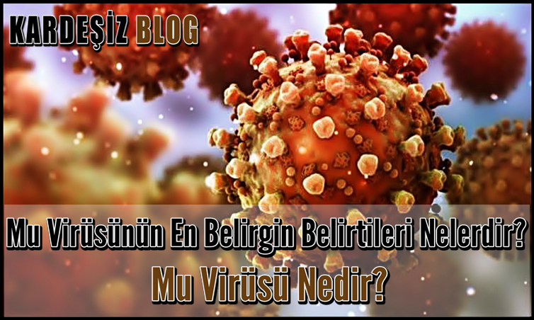 Mu Virüsünün En Belirgin Belirtileri Nelerdir