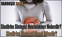 Sindirim Sistemi Hastalıkları Nelerdir