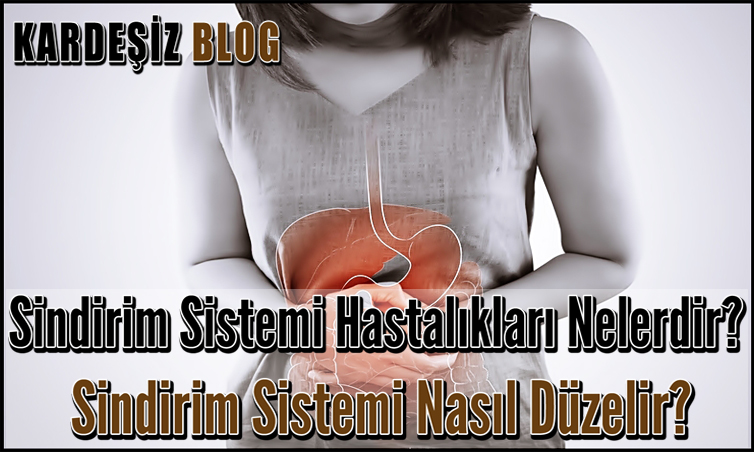 Sindirim Sistemi Hastalıkları Nelerdir