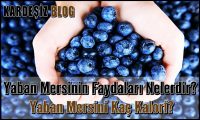 Yaban Mersinin Faydaları Nelerdir