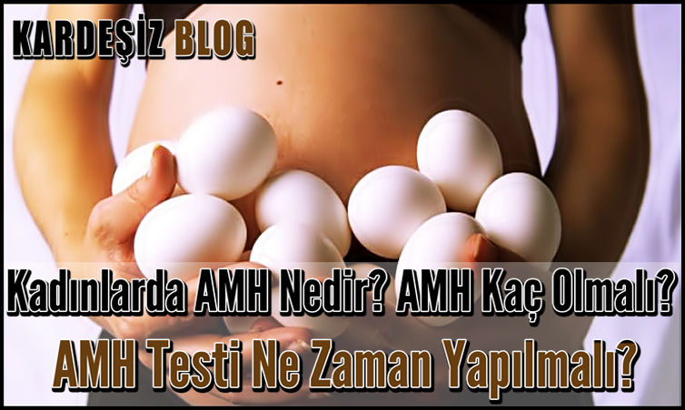 Kadınlarda AMH Nedir