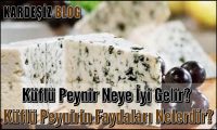 Küflü Peynir Neye iyi Gelir