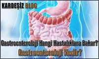 Gastroenteroloji Hangi Hastalıklara Bakar