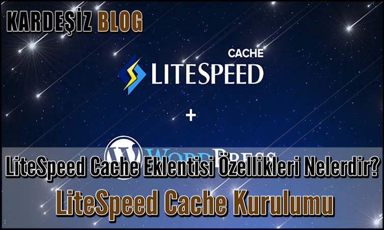 LiteSpeed Cache Eklentisi Özellikleri Nelerdir