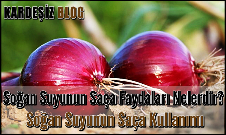 Soğan Suyunun Saça Faydaları Nelerdir