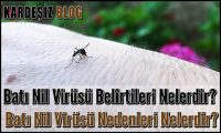 Batı Nil Virüsü Belirtileri Nelerdir