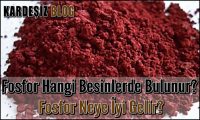 Fosfor Hangi Besinlerde Bulunur