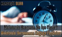 Melatonin Hormonu Ne işe Yarar