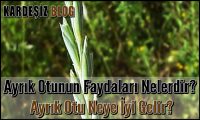 Ayrık Otunun Faydaları Nelerdir