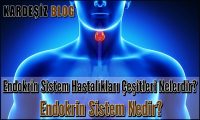 Endokrin Sistem Hastalıkları Çeşitleri Nelerdir