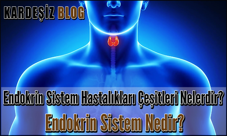 Endokrin Sistem Hastalıkları Çeşitleri Nelerdir