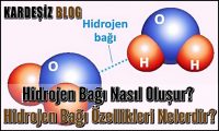 Hidrojen Bağı Nasıl Oluşur