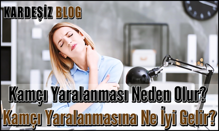 Kamçı Yaralanması Neden Olur