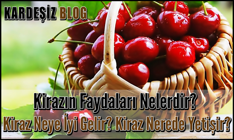 Kirazın Faydaları Nelerdir