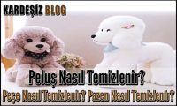 Peluş Nasıl Temizlenir