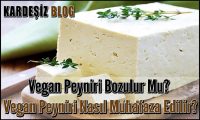 Vegan Peyniri Bozulur Mu