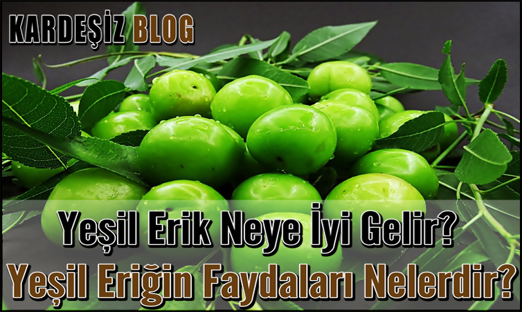 Yeşil Erik Neye iyi Gelir