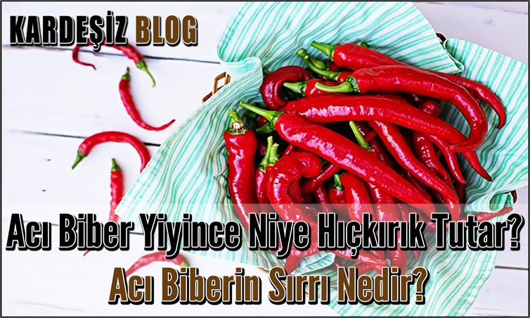 Acı Biber Yiyince Niye Hıçkırık Tutar