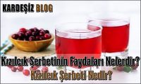 Kızılcık Şerbetinin Faydaları Nelerdir