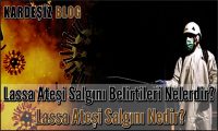 Lassa Ateşi Salgını Belirtileri Nelerdir