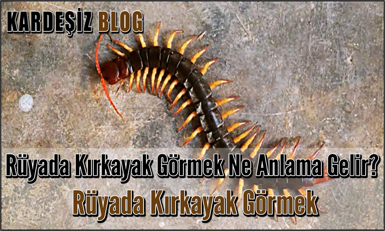 Rüyada Kırkayak Görmek Ne Anlama Gelir