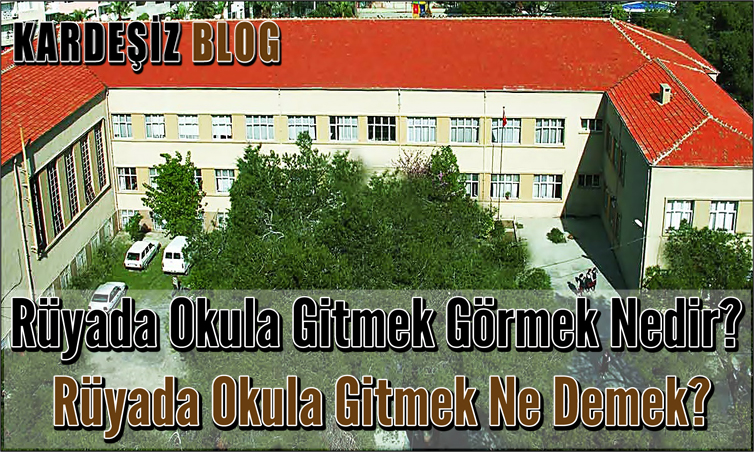 Rüyada Okula Gitmek Görmek Nedir