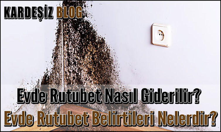 Evde Rutubet Nasıl Giderilir