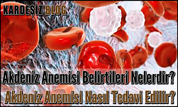 Akdeniz Anemisi Belirtileri Nelerdir