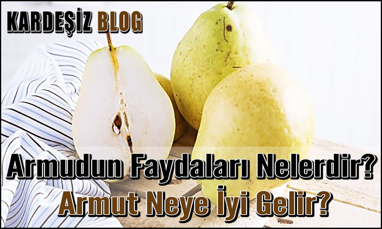 Armudun Faydaları Nelerdir