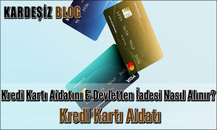 Kredi Kartı Aidatını E-Devletten iadesi Nasıl Alınır