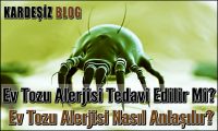 Ev Tozu Alerjisi Tedavi Edilir Mi