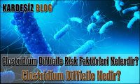 Clostridium Difficile Risk Faktörleri Nelerdir