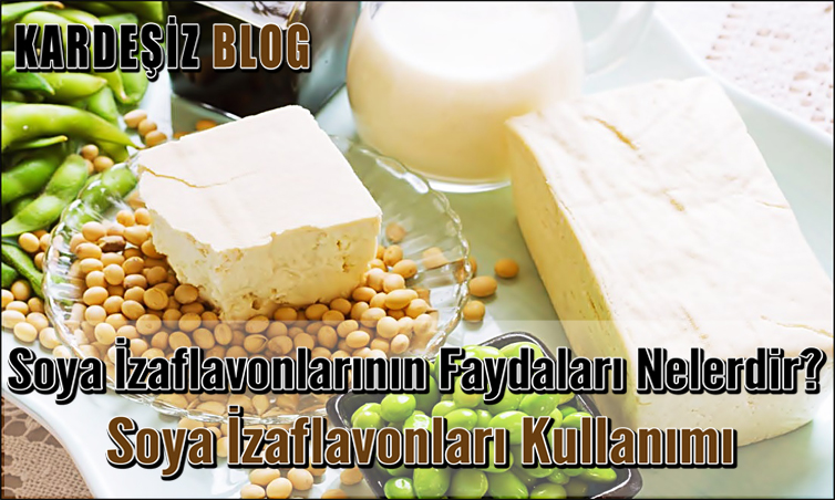 Soya izaflavonlarının Faydaları Nelerdir