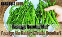 Fasulye Bozulur Mu