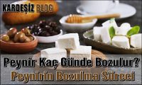 Peynir Kaç Günde Bozulur