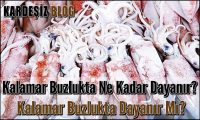 Kalamar Buzlukta Ne Kadar Dayanır