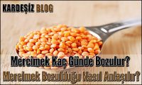 Mercimek Kaç Günde Bozulur