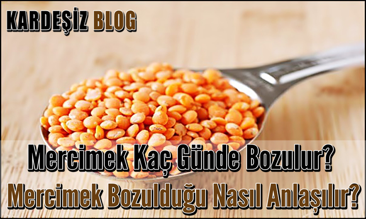 Mercimek Kaç Günde Bozulur