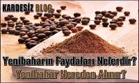 Yenibaharın Faydaları Nelerdir