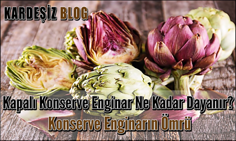 Kapalı Konserve Enginar Ne Kadar Dayanır