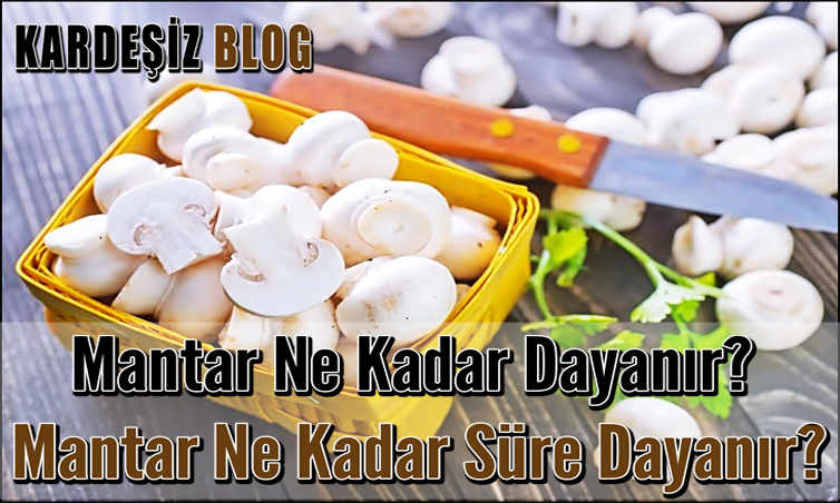 Mantar Ne Kadar Dayanır