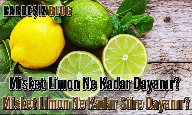 Misket Limon Ne Kadar Dayanır