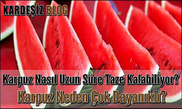 Karpuz Nasıl Uzun Süre Taze Kalabiliyor