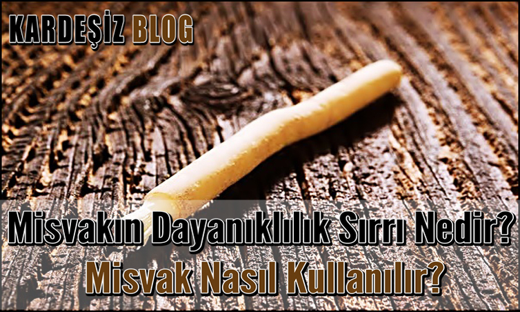 Misvakın Dayanıklılık Sırrı Nedir