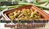 Kenger Otu Faydaları Nelerdir